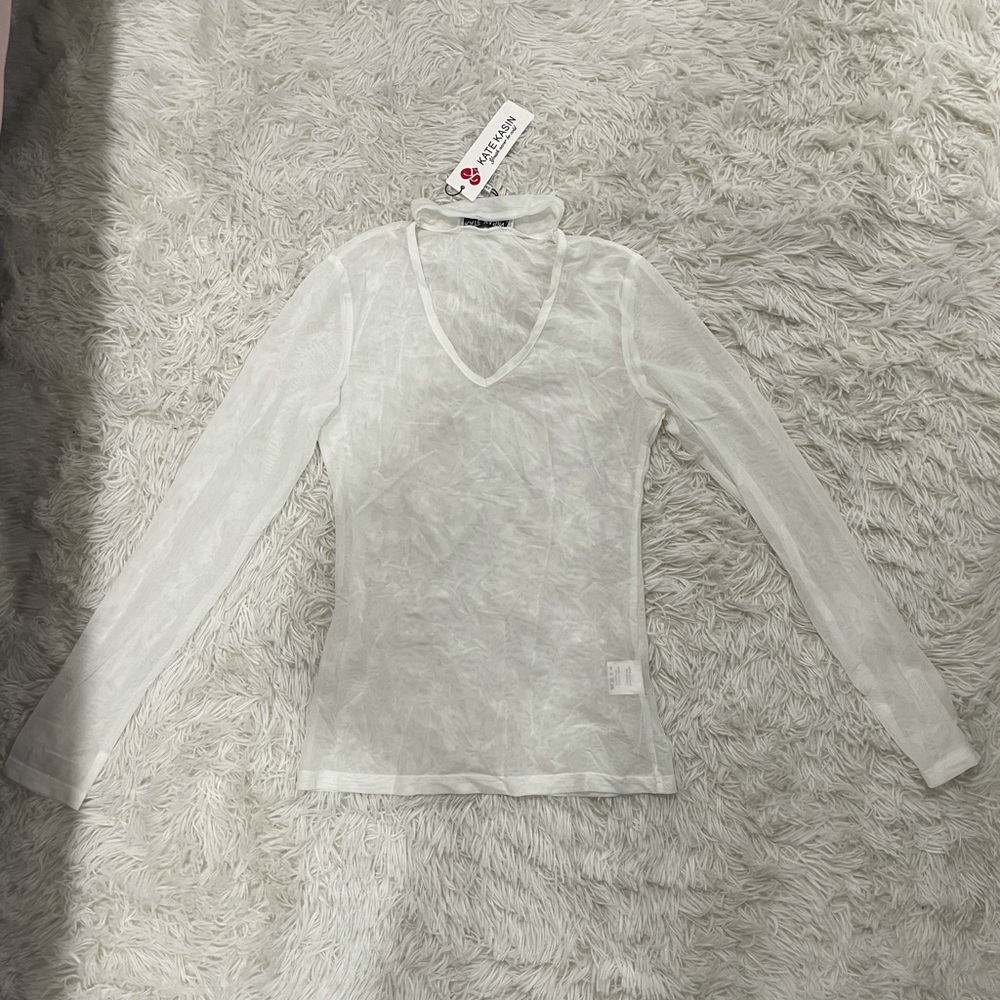 Sheer long sleeved top with collar